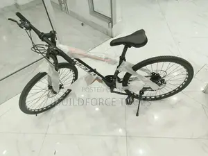Mountain Adult Bike
