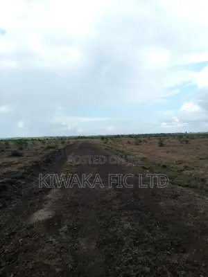 7 Acres in Mwalimu Farm