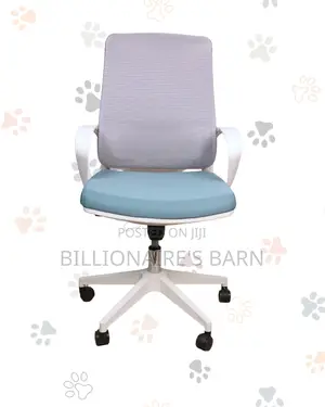 Pro Chair Mobility Ergonomic Pro-Grade | Comfort Meets Style