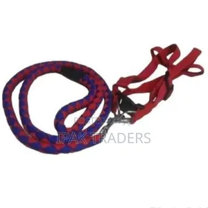 Dog Leash / Harness With Collar
Complete Set
