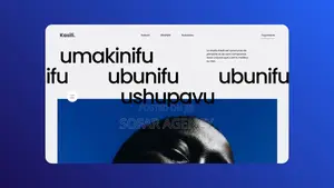 Premium Website Development