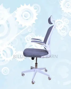 Executive Ergonomic | White Support | Nairobi Delivery Guaranteed
