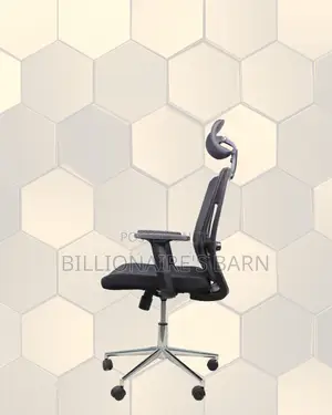 Premium Mesh Executive Seat | All-Day Back Support