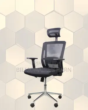 Premium Mesh Executive Seat | All-Day Back Support