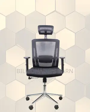 Premium Mesh Executive Seat | All-Day Back Support