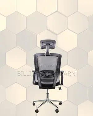 Premium Mesh Executive Seat | All-Day Back Support