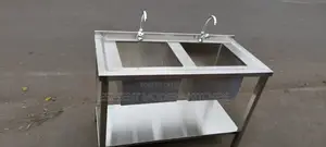 Stainless Steel Double Bowl Sink