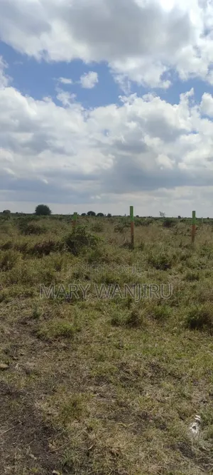 Victory Gardens Konza City Plots