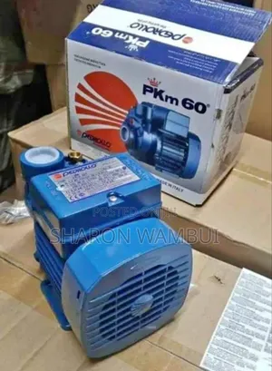 Guaranteed Pedrollo Water Pump Pkm60 /Pedrollo Water Pump