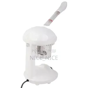Portable Facial Steamer