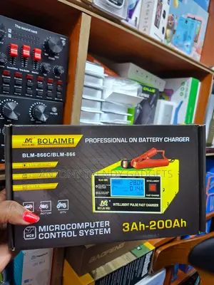 Blm-866c Mcu Controlled Car & Motorcycle Battery Charger 0–15a