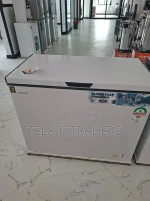 Rebune 200l Deep Freezer