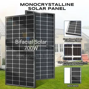 700 Watts New Technology Monocrystalline Bifacial Grade 1 Solar Panels