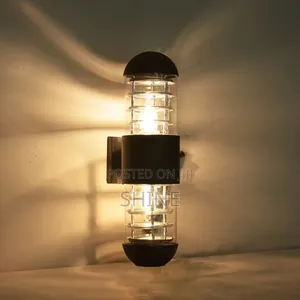 Double Outdoor Wall Lights