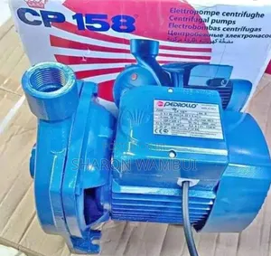1hp Pedrollo Water Pump Pkm60/ Pedrollo Pump Pkm60
