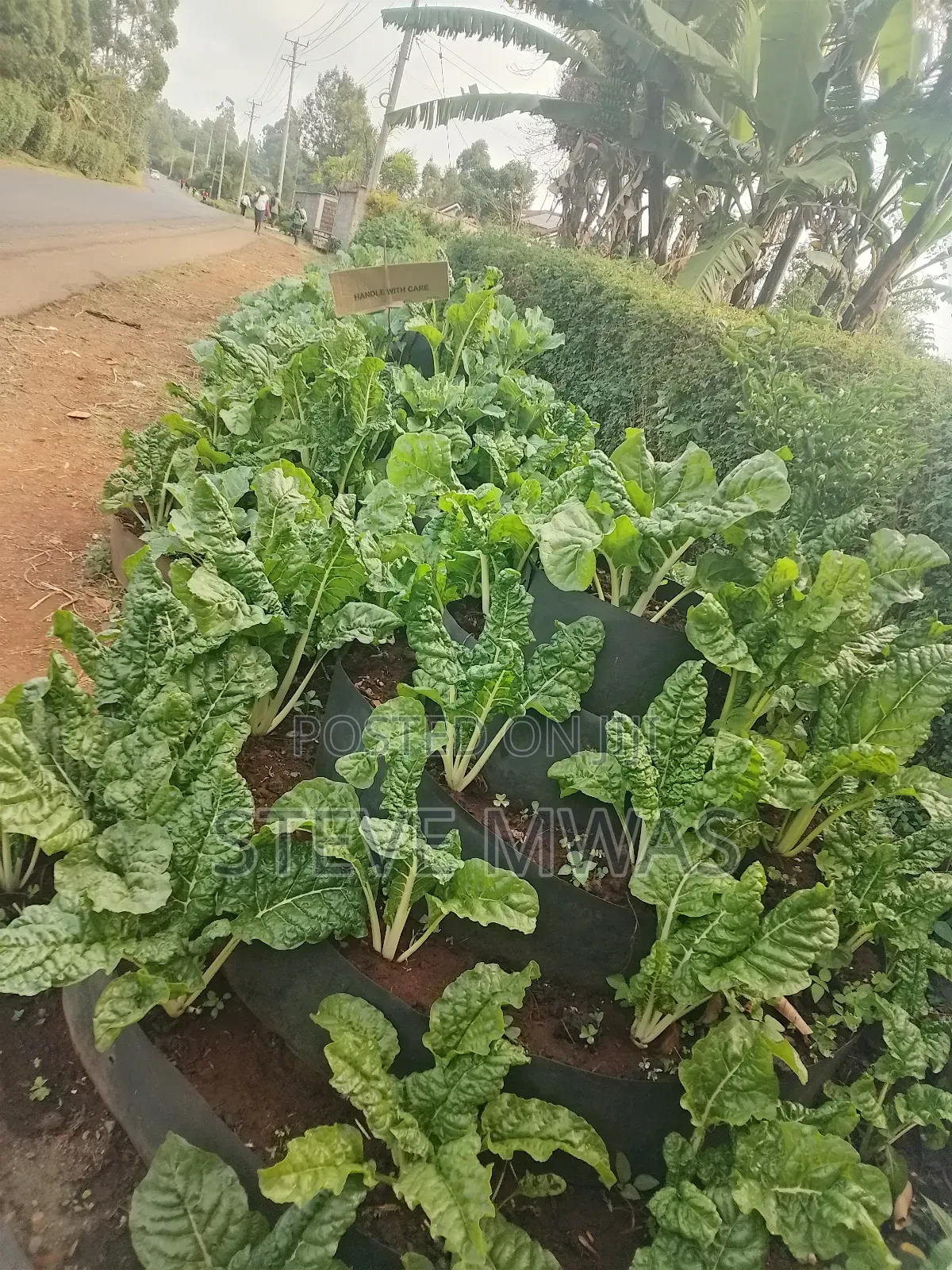 Storey Kitchen Garden