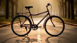 Victory V2607 26" Single-Speed Mountain Bike.