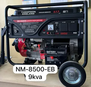 Thompson England Petrol Generator 9kva