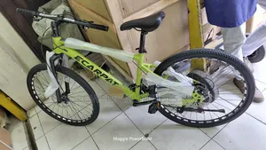 Ecarpat Mountain Bike Size 26 Adult Size