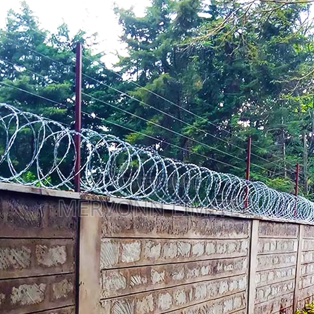 Electric Wall-Top Security