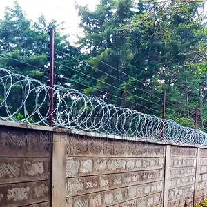Electric Wall-Top Security