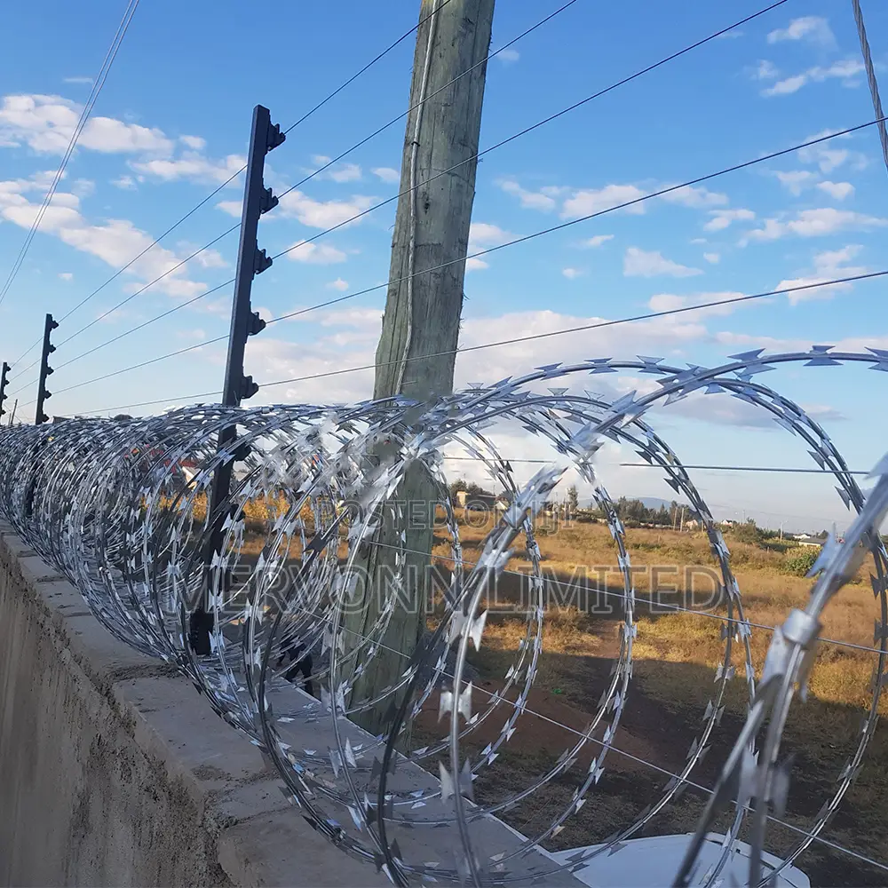 Electric Fence With Razor