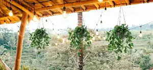 Artificial Hanging Flowers/Plant