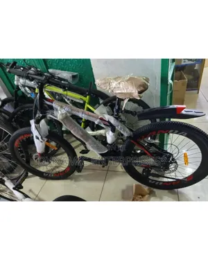 Mountain Bike Size 24