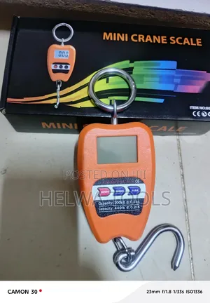 Mini Crane Scale, 200 KGS