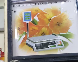 Good Quality Digital Computing Weighing Scale /30kg Computing Scale