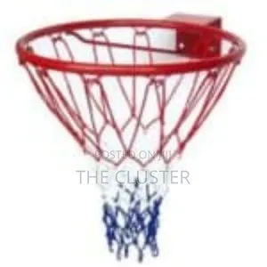 10 Inch Basketball Ring Plus Net