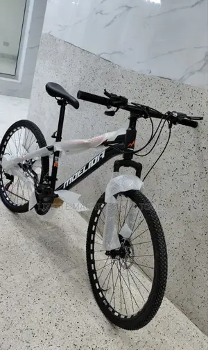 Size 26 Adult Bike/Racing Bike