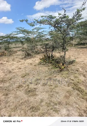 10 Acres at Koma