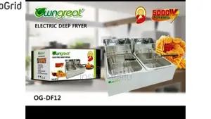 Owngreat Double Electric Deep Fryer Stainless Steel
