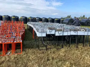 Commercial Chips Fryers (Commercial)