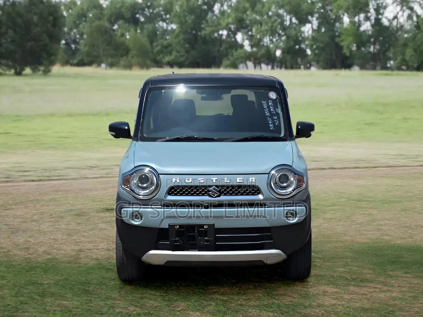 Suzuki Hustler 2019 Blue