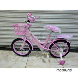 Lady Bike Size 16