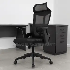 Ergonomic Back Support Mesh Seat