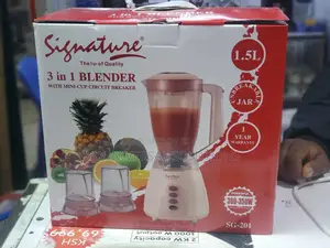 3 in 1 Signature Blender