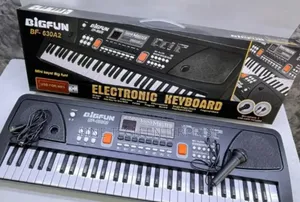 61 Keys Electric Piano With Microphone and Charging Cable