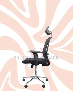 Ergonomic Mesh Chair With Headrest | Ideal for Home Office