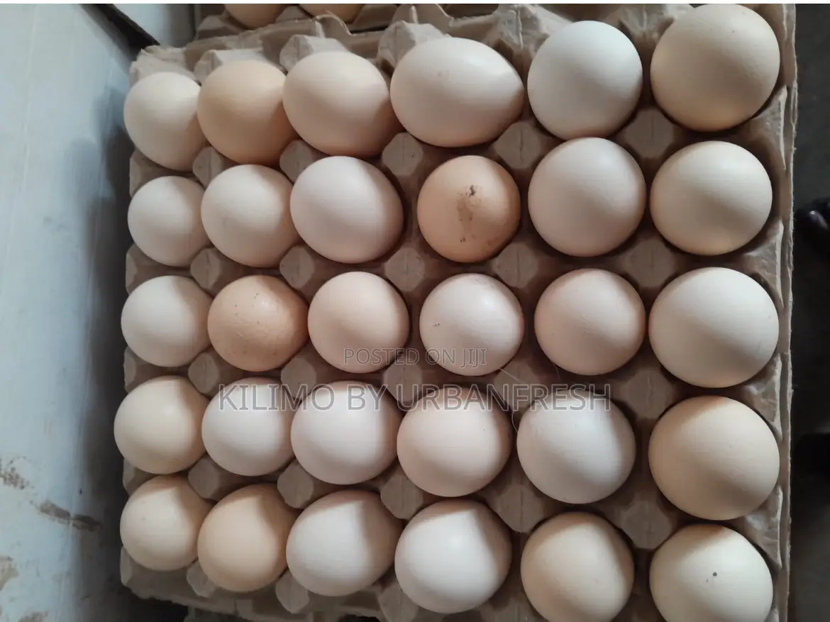 Table Eggs : Layers , Improved , Pure Kienyeji. Moq 10 Trays