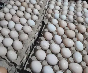 Table Eggs : Layers , Improved , Pure Kienyeji. Moq 10 Trays