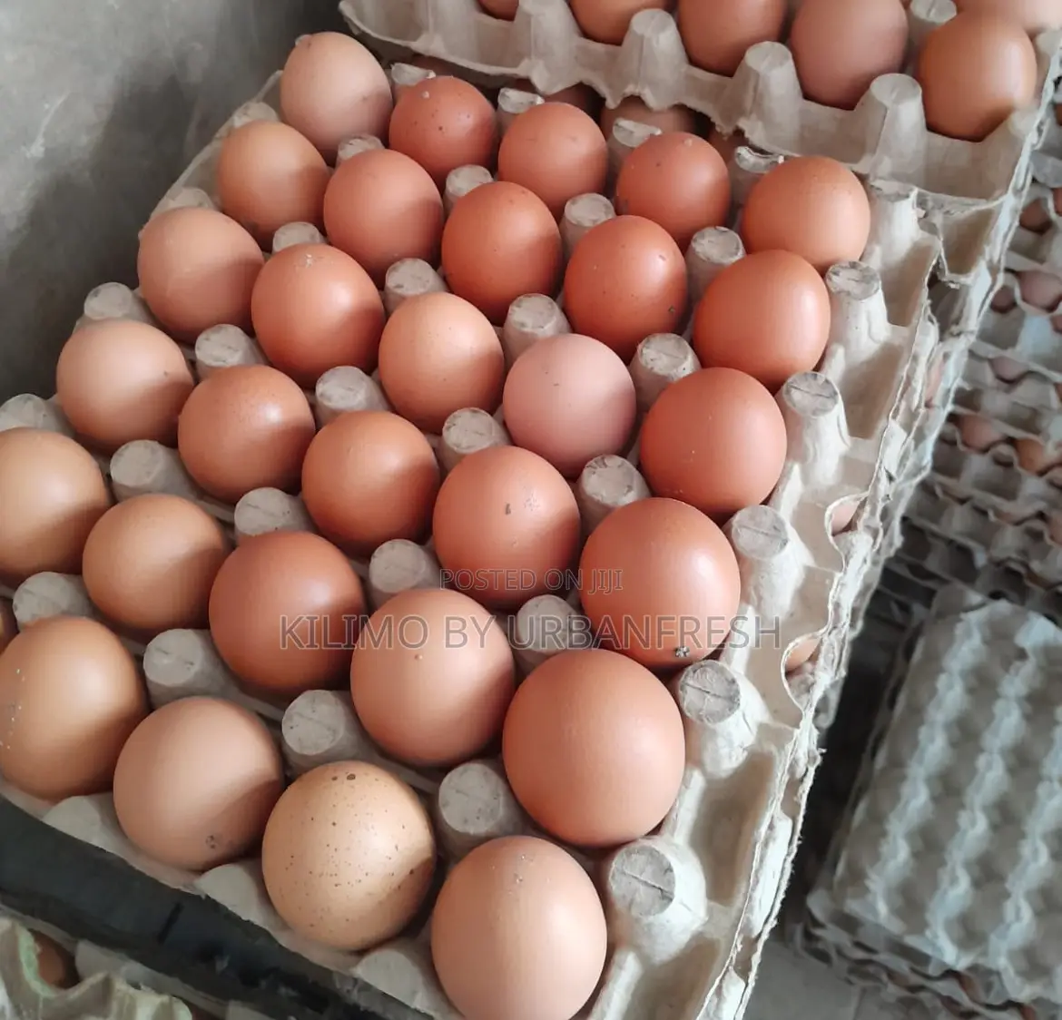 Table Eggs : Layers , Improved , Pure Kienyeji. Moq 10 Trays