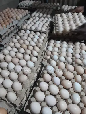 Table Eggs : Layers , Improved , Pure Kienyeji. Moq 10 Trays
