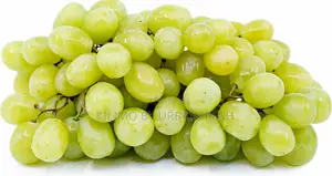 Cotton Candy Grapes Seedlings