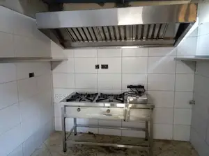 Commercial 2 Burner Gas Cooker With Fryer and Kitchen Hood