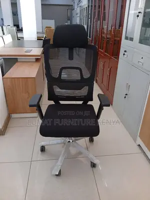 Spine-Friendly Work Chair