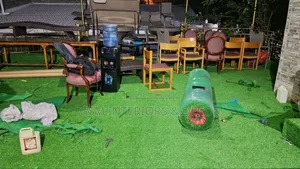 Artificial Green Grass Carpets for Lounge