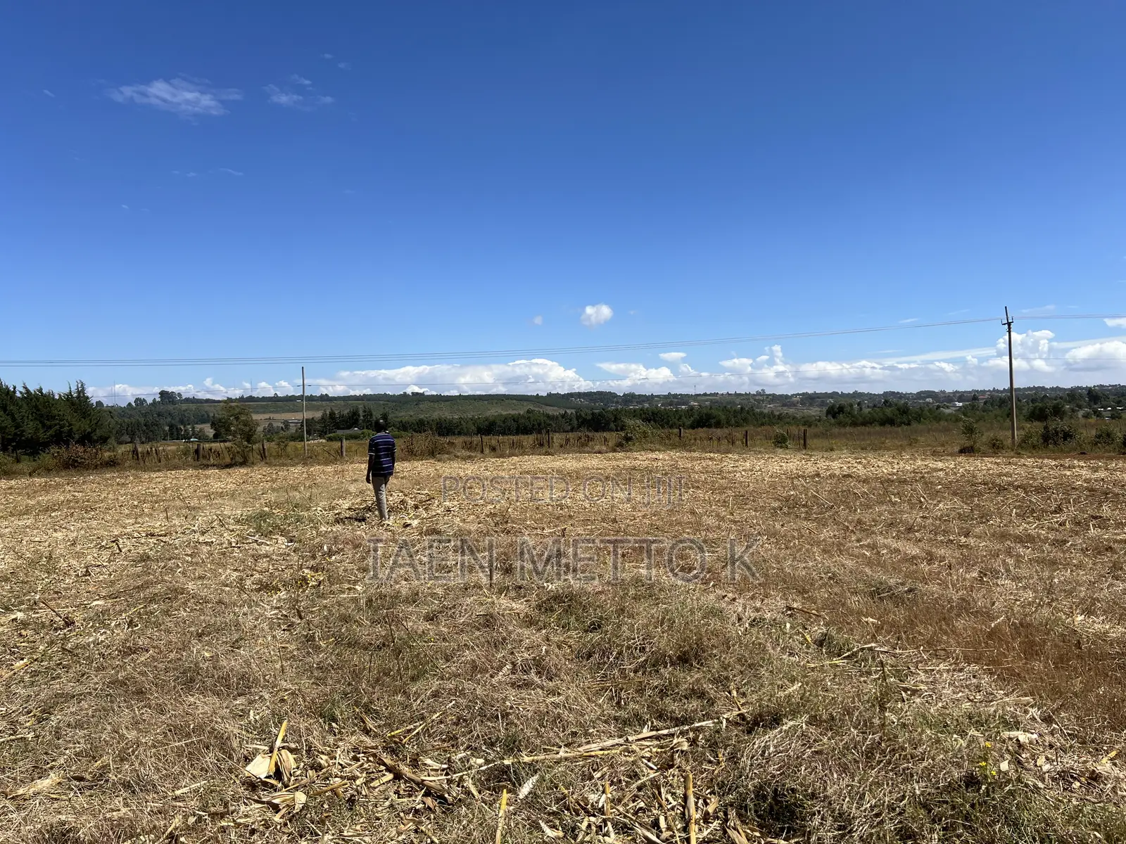 Ancilla Outspan 1/8th Plots